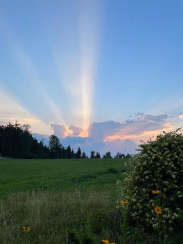 Eko kmetija Sen na Zgornji Kapli in Podvelka Eko kmetija Sen na Zgornji Kapli in Podvelka