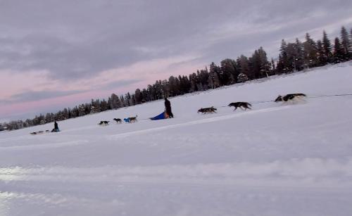 Vindelälv Stuga in Blattnicksele (Vindelalv Stuga in Blattnicksele) in 소르셀레 Vindelälv Stuga in Blattnicksele (Vindelalv Stuga in Blattnicksele) in 소르셀레