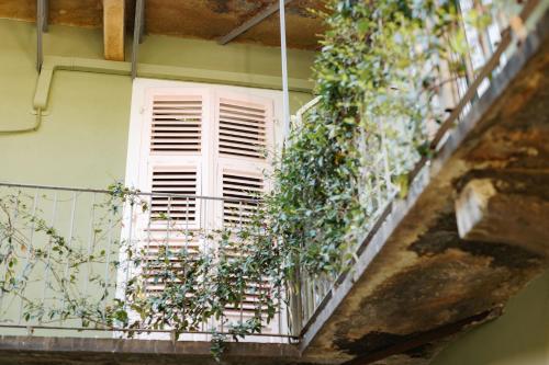 balkon/taras, Tomato Backpackers Hotel in Turyn balkon/taras, Tomato Backpackers Hotel in Turyn