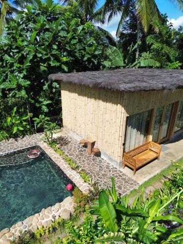 Sawah Ijen in Licin Sawah Ijen in Licin