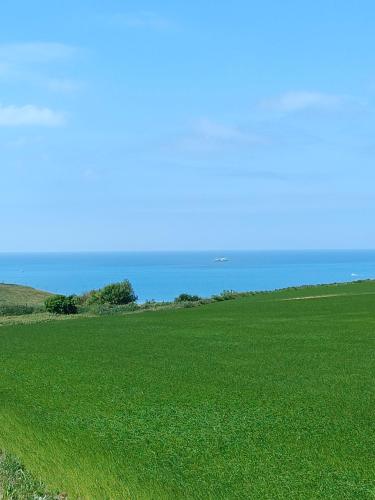 les galets de Normandie in Biville-sur-Mer les galets de Normandie in Biville-sur-Mer