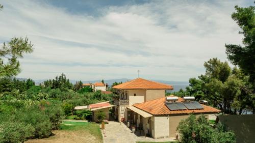 Pefkon Suites in Chalkidiki Pefkon Suites in Chalkidiki