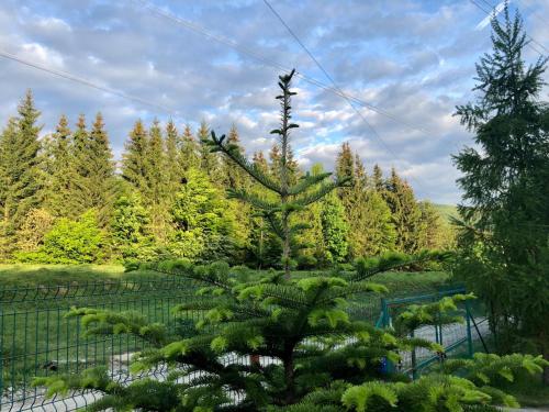 Casa din Padure Valea Doftanei in Traisteni Casa din Padure Valea Doftanei in Traisteni