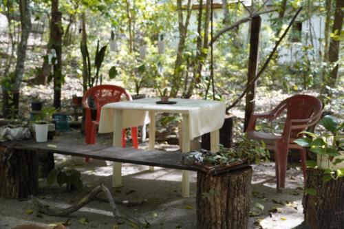 Équipements, Woodpecker cabin in El Remate Équipements, Woodpecker cabin in El Remate