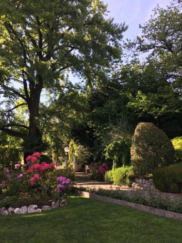 This photo about Il Pioppo Antico shared on HyHotel.com