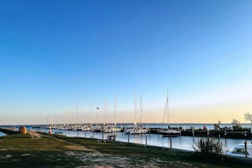 Surrounding environment, Apartment in Orth in Orth Surrounding environment, Apartment in Orth in Orth