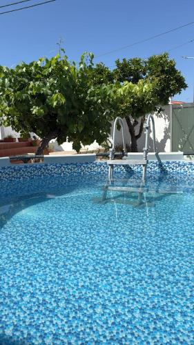 Úszómedence, Casa das Lages in Pedrogao Úszómedence, Casa das Lages in Pedrogao