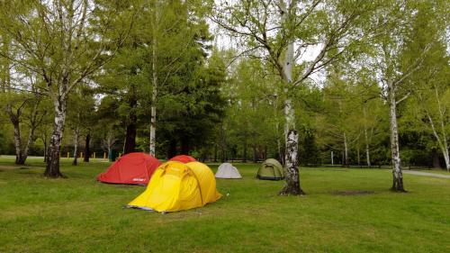 Hanmer Springs Forest Camp Trust in Hanmer Springs Hanmer Springs Forest Camp Trust in Hanmer Springs