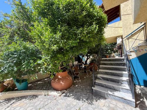 A szálláshely kívülről, Jimmy's Place in Ormos Marathokampou A szálláshely kívülről, Jimmy's Place in Ormos Marathokampou