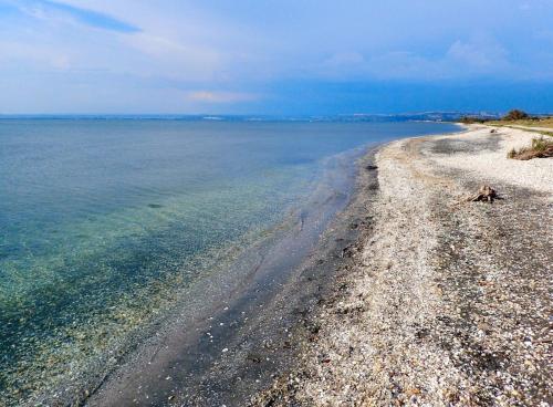 Marignane in Marignane Marignane in Marignane