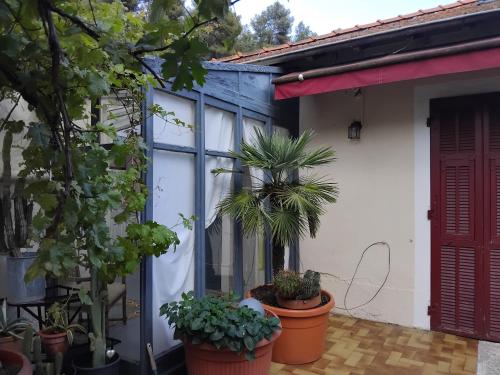 Garden, Maison authentique in St Pierre de Feric Garden, Maison authentique in St Pierre de Feric