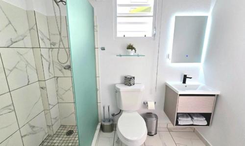 Bathroom, Humacao - Apart, Super Central, AC, TV, Wifi, Fully Equipped in Humacao Bathroom, Humacao - Apart, Super Central, AC, TV, Wifi, Fully Equipped in Humacao
