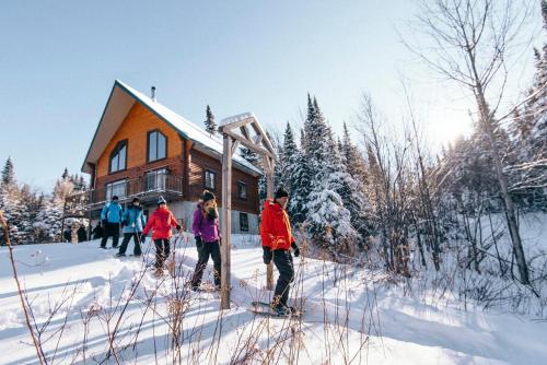 Domaine Appalaches 40 Incredible view in Saint-Paul-De-Montminy (QC) Domaine Appalaches 40 Incredible view in Saint-Paul-De-Montminy (QC)