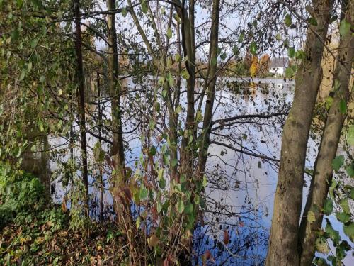 المنطقة المحيطة, Apartment in the vicinity of Osnabrück, cleaning included (Apartment in the vicinity of Osnabruck, cleaning included) in بيسيندورف المنطقة المحيطة, Apartment in the vicinity of Osnabrück, cleaning included (Apartment in the vicinity of Osnabruck, cleaning included) in بيسيندورف