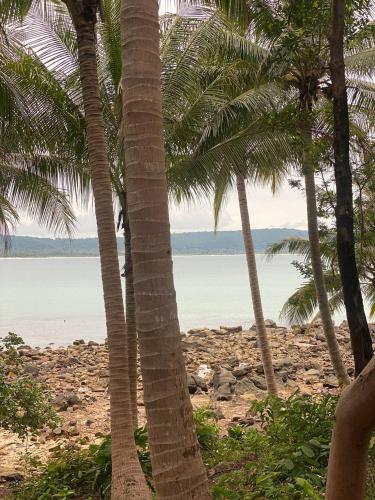 Jasmine Jungle Villa Koh Rong in Koh Rong Airport Jasmine Jungle Villa Koh Rong in Koh Rong Airport