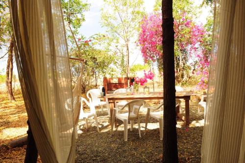 Équipements, Rustic cabin in the heart of the fields of Pitahaya in La Parguera Équipements, Rustic cabin in the heart of the fields of Pitahaya in La Parguera