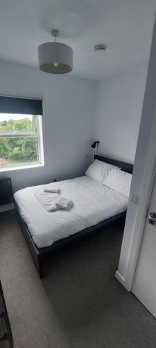 1BD City Pad Shop & Stroll - main image