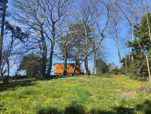 Kert, Roulotte avec vue sur la mer, proche d'Etretat in Saint-Jouin-Bruneval Kert, Roulotte avec vue sur la mer, proche d'Etretat in Saint-Jouin-Bruneval