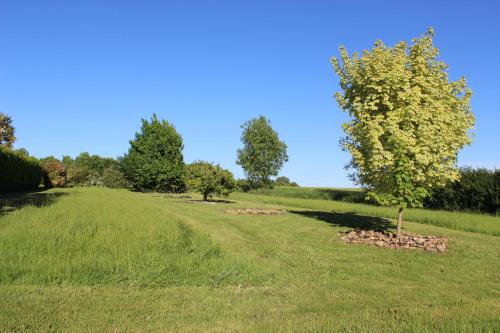 La Maison Jaune in Saint-Hilaire-des-Loges La Maison Jaune in Saint-Hilaire-des-Loges