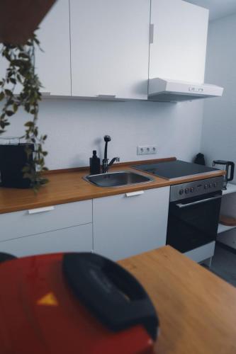 Konyha, Appartio - Gästehaus Altstadt Worms (Appartio - Gastehaus Altstadt Worms) in Worms városközpont Konyha, Appartio - Gästehaus Altstadt Worms (Appartio - Gastehaus Altstadt Worms) in Worms városközpont