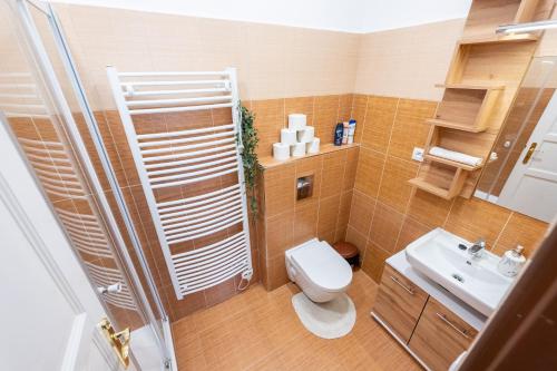 Bathroom, Apartman Vratislavacek in Trebon Bathroom, Apartman Vratislavacek in Trebon