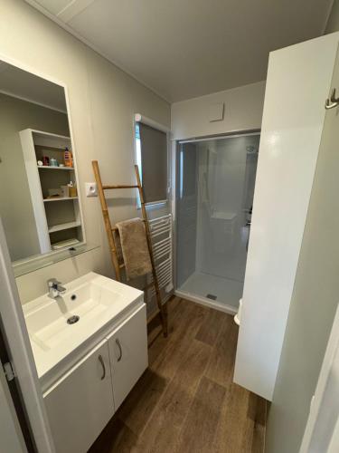 حمام, Mobil Home avec piscine in Rue des Biches حمام, Mobil Home avec piscine in Rue des Biches