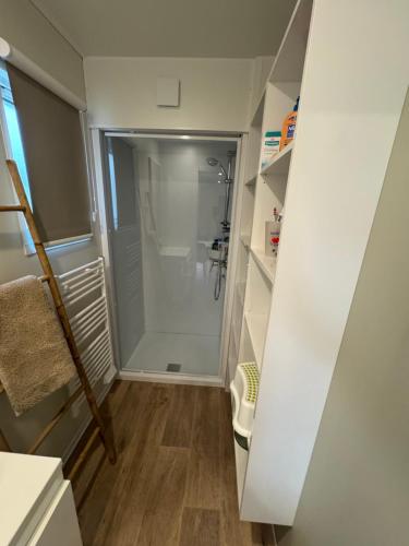 حمام, Mobil Home avec piscine in Rue des Biches حمام, Mobil Home avec piscine in Rue des Biches