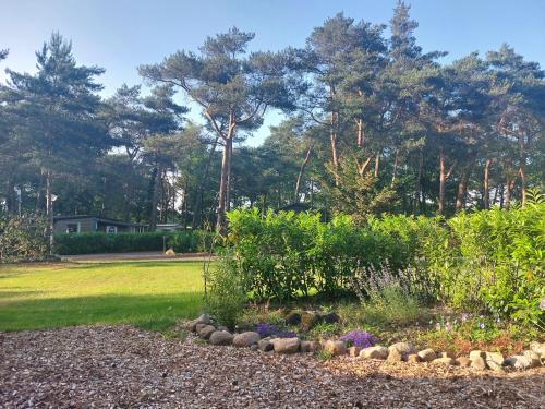 Egelantier in Zuidwolde Egelantier in Zuidwolde