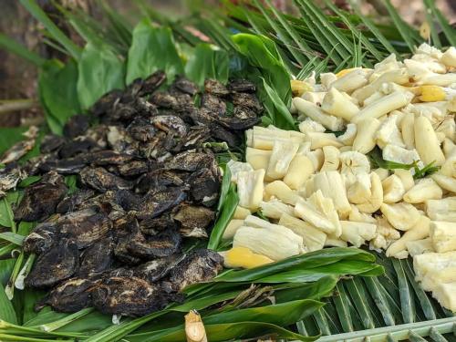 PeciJosh Homestay in Naviti Sziget PeciJosh Homestay in Naviti Sziget