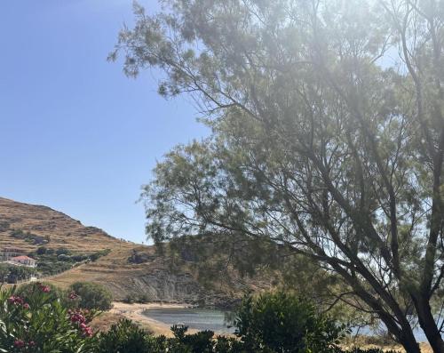 Elia Limnos in พลาติ Elia Limnos in พลาติ