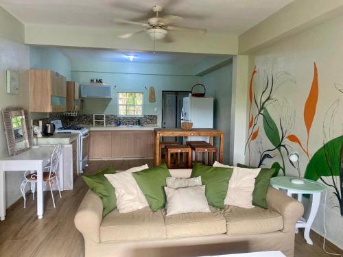 Зручності, Villa Conochi in Guana Bay Зручності, Villa Conochi in Guana Bay