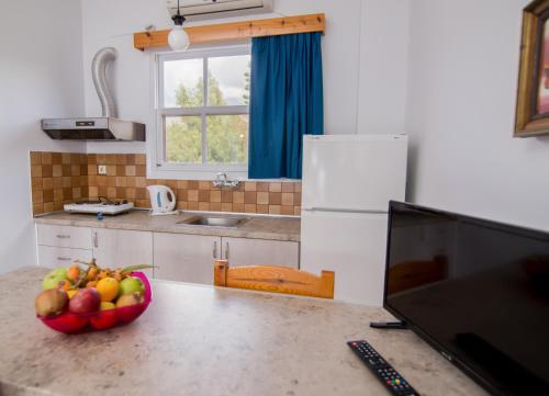 Szolgáltatások, Theodora Apartments in Akrogiali Szolgáltatások, Theodora Apartments in Akrogiali