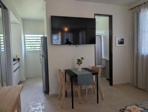 Seadmed, Explorers Fortuna Studio in Luquillo Seadmed, Explorers Fortuna Studio in Luquillo