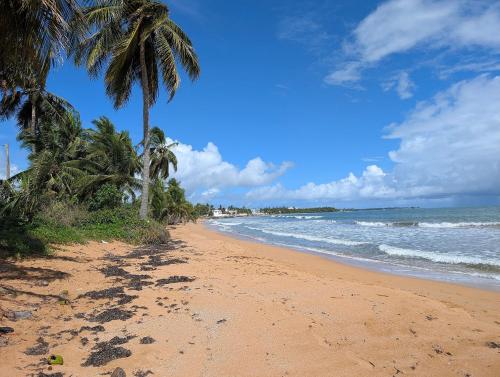 rand, Explorers Fortuna Studio in Luquillo rand, Explorers Fortuna Studio in Luquillo