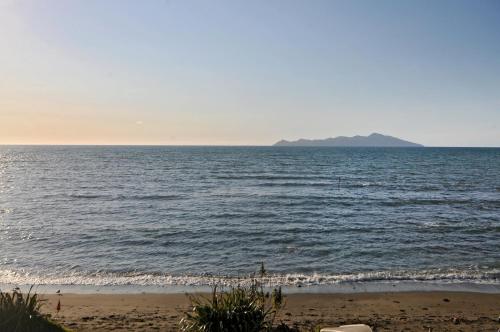 ชายหาด, Kapiti Waves Bed & Breakfast in เปคาคาริกิ ชายหาด, Kapiti Waves Bed & Breakfast in เปคาคาริกิ