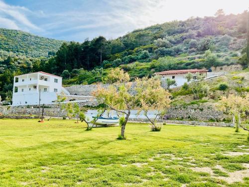 Seacret too in Charavgi Seacret too in Charavgi