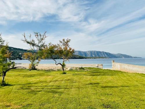 Seacret too in Charavgi Seacret too in Charavgi