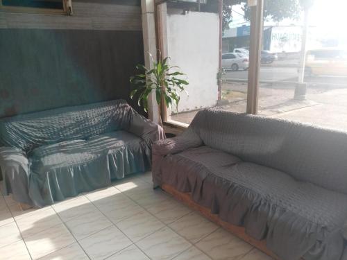 Hotel Pensión Galicia (Hotel Pension Galicia) in 데이비드 Hotel Pensión Galicia (Hotel Pension Galicia) in 데이비드