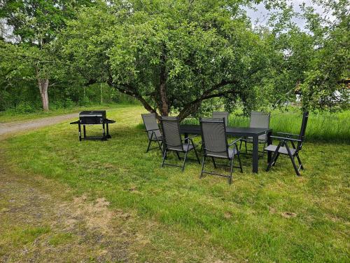 المرافق, Naturparadies und Angleroase Borgvik in Borgvik المرافق, Naturparadies und Angleroase Borgvik in Borgvik