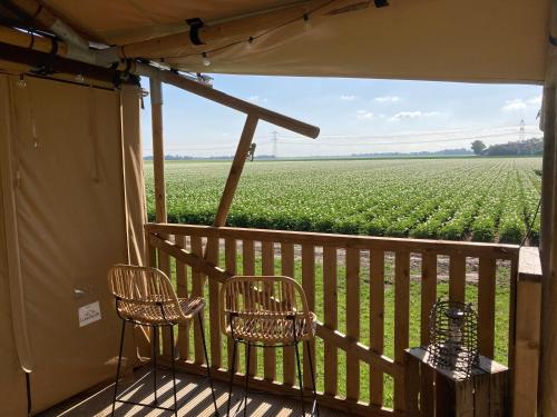 Balcony/terrace, Gewoon Ann-ders in Marknesse Balcony/terrace, Gewoon Ann-ders in Marknesse