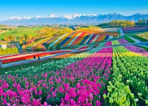 位于中富良野的2卧室独栋房屋-52平方米|带1个独立浴室 (NakaFurano Okamachi Hill House B) in 中富良野 位于中富良野的2卧室独栋房屋-52平方米|带1个独立浴室 (NakaFurano Okamachi Hill House B) in 中富良野