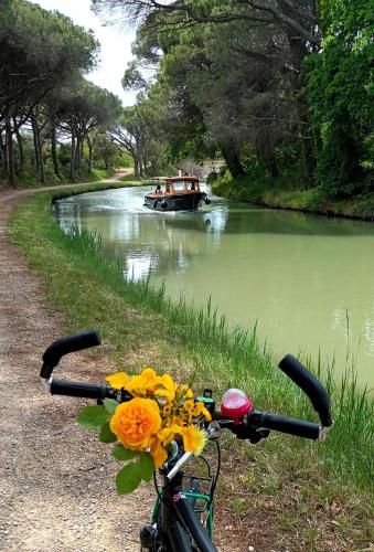 Roulotte au bord du canal du midi argeliers in Argeliers Roulotte au bord du canal du midi argeliers in Argeliers