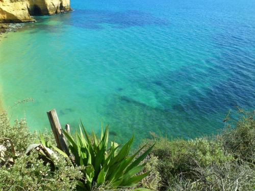 สภาพแวดล้อมโดยรอบ, Apartments Miramare Miramonte in คาวีโร สภาพแวดล้อมโดยรอบ, Apartments Miramare Miramonte in คาวีโร