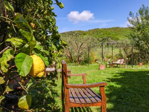 Kert, Tuscan Farmhouse in the Countryside in Serravalle Pistoiese Kert, Tuscan Farmhouse in the Countryside in Serravalle Pistoiese