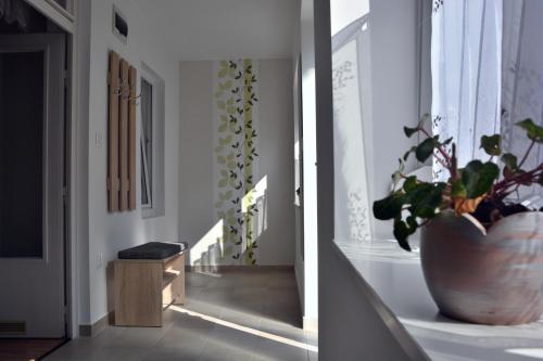Csenár Apartman Hegykő (Csenar Apartman Hegyko) in เฮกกีโค่ Csenár Apartman Hegykő (Csenar Apartman Hegyko) in เฮกกีโค่