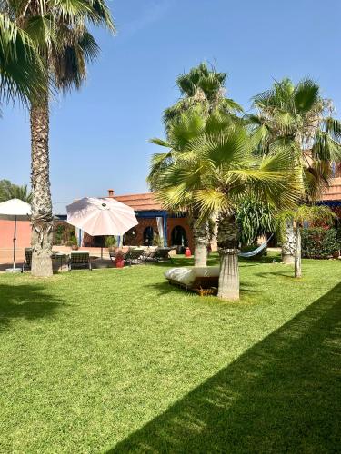 grădină, Le Rubis Oriental Marrakech in Eastern Suburbs grădină, Le Rubis Oriental Marrakech in Eastern Suburbs
