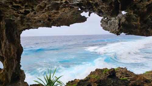 Rurutu pulse in Austral Islands Rurutu pulse in Austral Islands