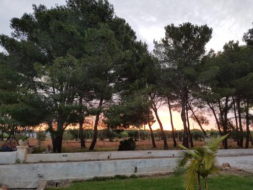 This photo about Baglio Natura shared on HyHotel.com