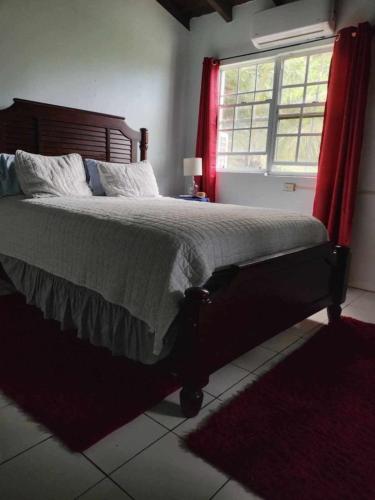 The Hidden Papaya in Donoe The Hidden Papaya in Donoe