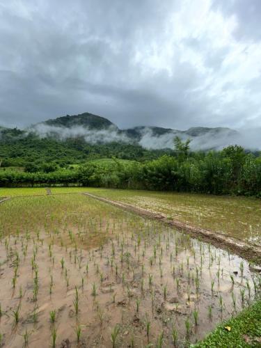 Sai Nam Ngoi Organic Farm and Camping in Ngojo apygarda Sai Nam Ngoi Organic Farm and Camping in Ngojo apygarda
